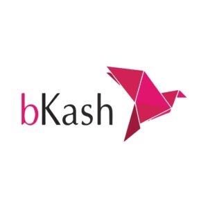 bkash logo image