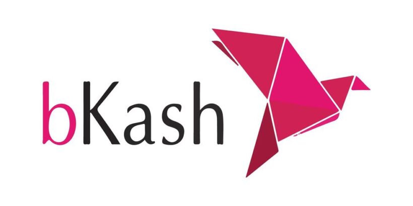 bkash logo image