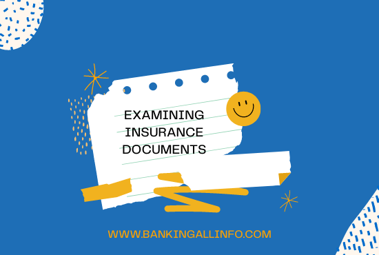 Examining-insurance-documents-1