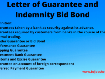 Letter of Guarantee and Indemnity Bid Bond