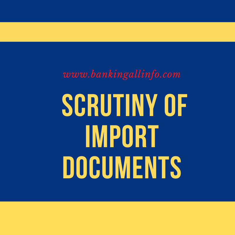 Scrutiny-of-Import-documents