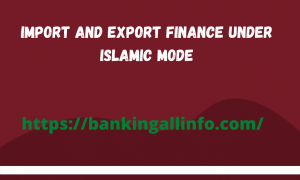 Import-and-export-finance-under-Islamic-mode
