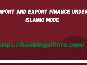 Import-and-export-finance-under-Islamic-mode